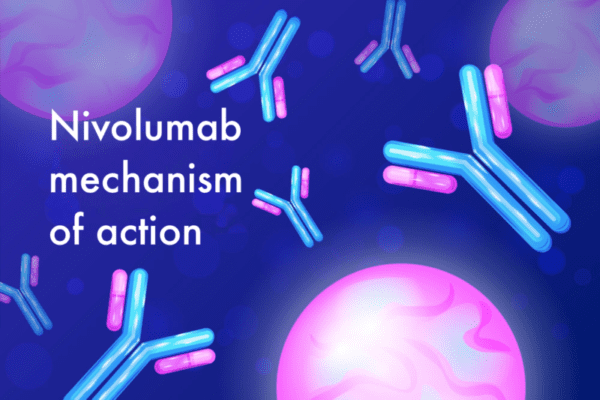 Mechanism of Action of Nivolumab