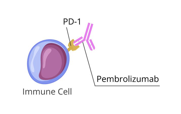 Pemrolizumab