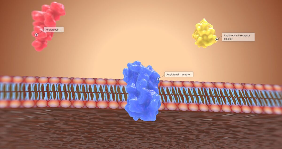 Angiotensin receptor and blocker