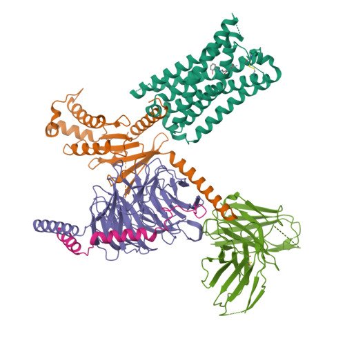 5-hydroxytryptamine receptor 2A Target Structure
