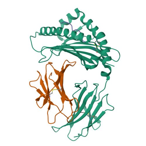 Aromatic L-amino acid decarboxylase Target Structure