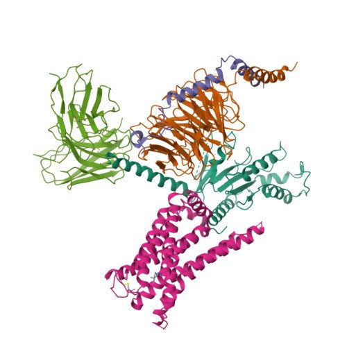 Alpha-2A adrenergic receptor Target Structure