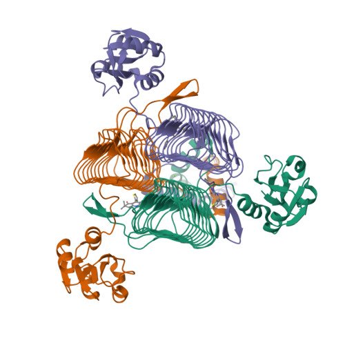 Angiotensin II type 1 receptor Target Structure