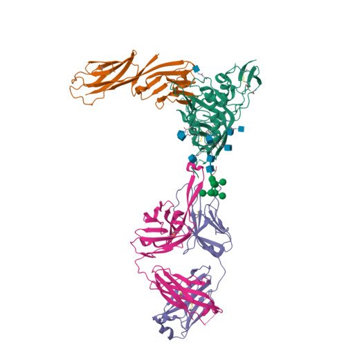 Angiotensin II Type 1 Receptor Target Structure
