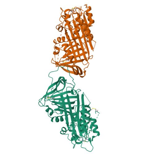 Antithrombin-III Target Structure