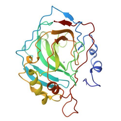 Carbonic Anhydrase Target Structure