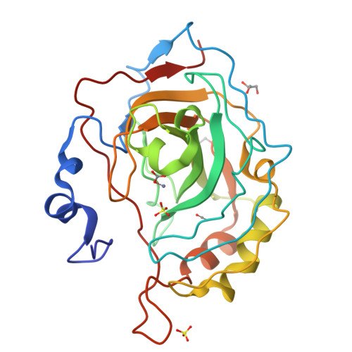 Carbonic Anhydrase II Target Structure