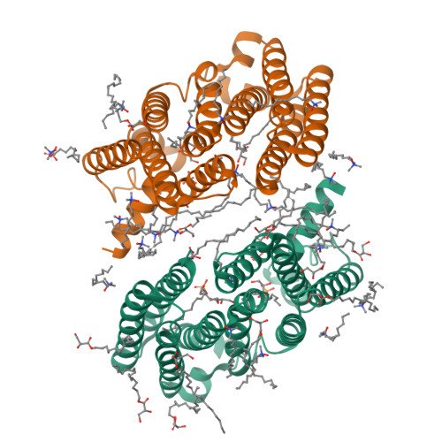Dopamine Transporter Target Structure