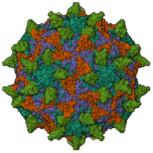 Dipeptidyl Peptidase 4 Target Structure