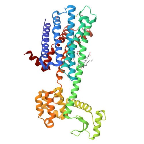 Dopamine D2 Receptor Target Structure