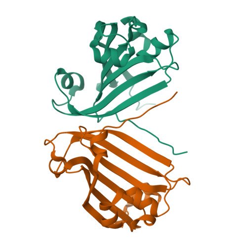 Coagulation Factor Xa Target Structure