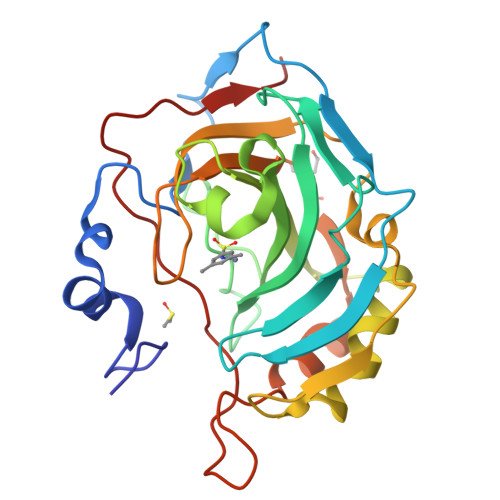 N-methyl-D-aspartate receptor Target Structure