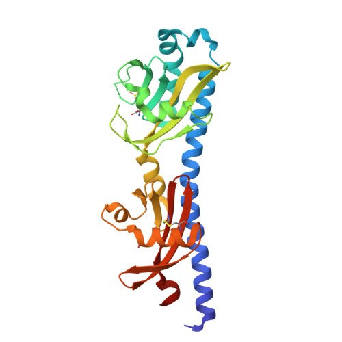 Serotonin Transporter Target Structure