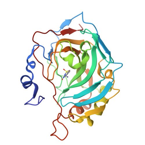 Viral DNA Polymerase Target Structure